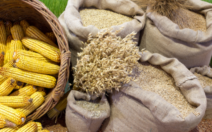 Global Agro Commodities