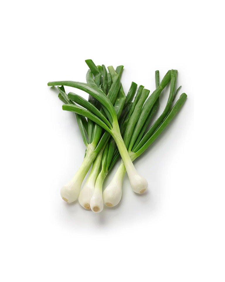 SPRING ONION