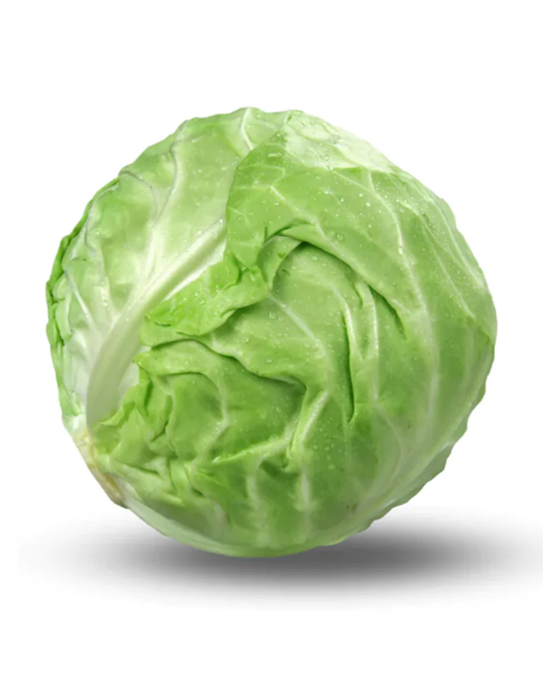 Cabbage