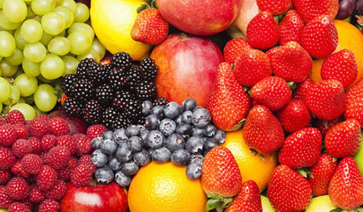Your Trusted Exporter of Premium Seasonal Fruits